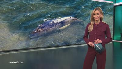 :newstime: vom 25. April 2026 | 18:10