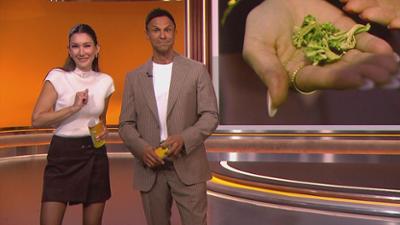 taff: Internorga in Hamburg: Sind das die Food-Trends der Zukunft?