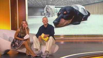 taff: Staffel 2026 Folge 156 Hype um XXL-Dackel