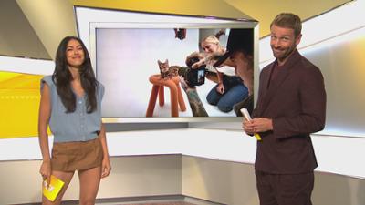 taff: Das Zeug zum Cover - Catmodel Contest