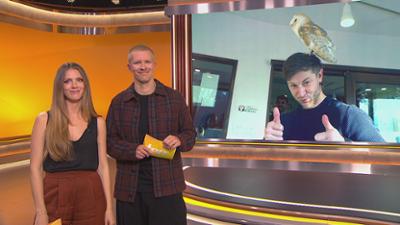 taff: Kaffee neben Eulen? Willkommen in Japans skurrilster Café-Welt