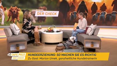 Café Puls: Der Check vom 01.02.2026