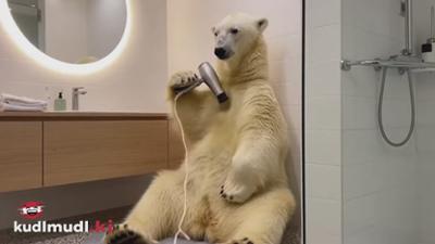 kudlmudl.ki: Staffel 1 Folge 11 Eiskalte Unterhaltung