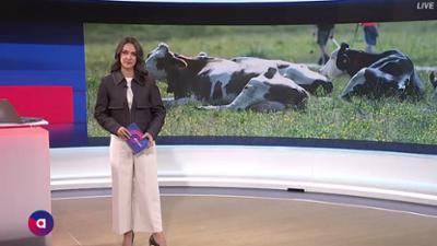 PULS 4 Aktuell: vom 18.05.2026