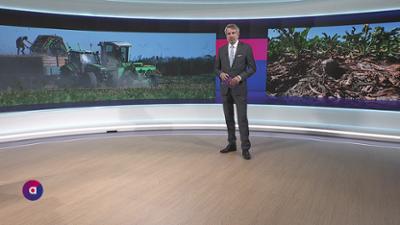 PULS 4 Aktuell: vom 18.08.2026