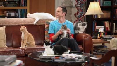 The Big Bang Theory: Staffel 4 Folge 3 Paradoxe Psychologie