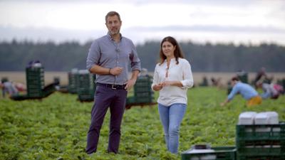 Abenteuer Ernte: Spargel, Erdbeeren und Salat
