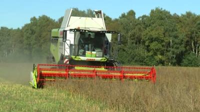 buten un binnen: Unverkaufte Ernte, volle Speicher – So geht es Bremer Öko-Landwirten