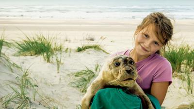 Der Seehund von Sanderoog