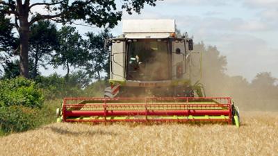 die nordreportage: Die Kruppas - Hitzeschlacht bei der Ernte