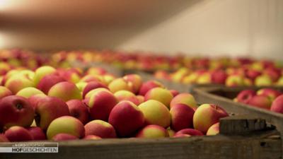 die nordreportage: Äpfel auf dem Prüfstand