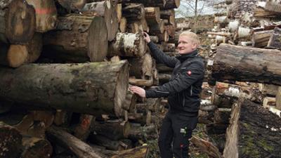 die nordreportage: Vom Baumstamm zur wohligen Wärme
