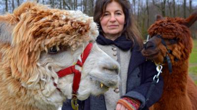 die nordreportage: Therapeuten mit Fell und Federn - Wenn Tiere heilen helfen