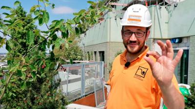 Die Nordreportage: Park in den Wolken: Ein Bunker wird grün Die Nordreportage: Park in den Wolken: Ein Bunker wird grün