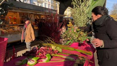 die nordreportage: Teure Blüten - Handel mit der Luxusware Blume