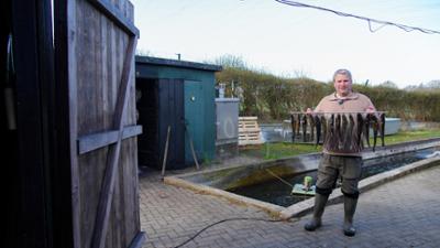 die nordreportage: Frische Forellen, neue Ideen - Zwischen Teich, Räucherei und Wochenmarkt