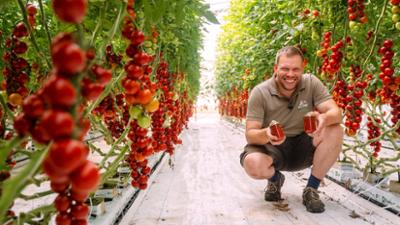 die nordreportage: Ketchup made in Niedersachsen - Rot, regional und richtig lecker