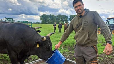 die nordreportage: Die Farmer von der Elbinsel - Naturrinder und mehr auf Krautsand die nordreportage: Die Farmer von der Elbinsel - Naturrinder und mehr auf Krautsand