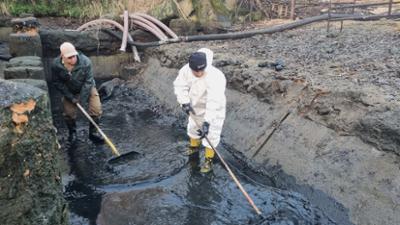 die nordreportage: Großputz zwischen wilden Tieren