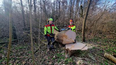 Die Nordreportage: Einsatz mit Harvester und Sägewerk