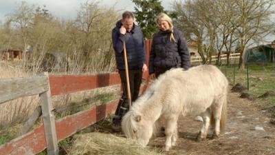 die nordreportage: Schwein gehabt... ein Herz für Tiere in Not