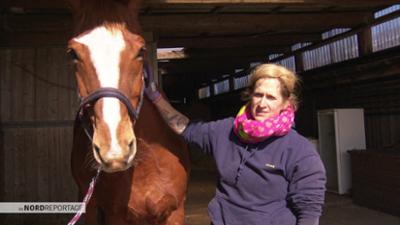 die nordreportage: Pferd, Katze, Kuh: Mobile Hilfe für Tiere