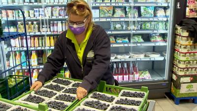 die nordreportage: Beerenstark! Anpacken für die Super-Beeren