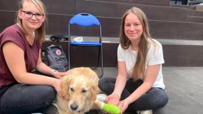 die nordreportage: Alles für den Hund - Hamburg komplett wau wau