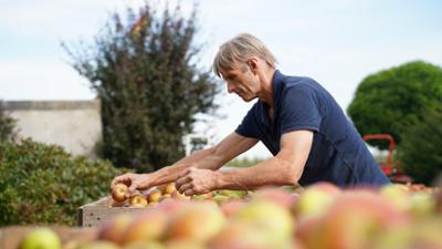 die nordreportage: Apfelsaft, Cidre und Schorle - Hochsaison in der Mosterei