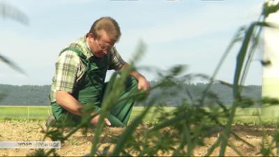 die nordreportage: Ackern bis zum Frost