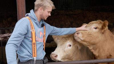die nordstory: Der Inselbauer von Amrum