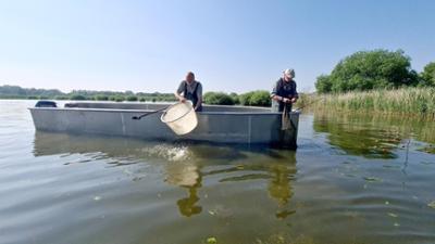 die nordstory: Seegeschichten vom Dümmer