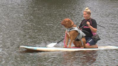 die nordstory: Schiffer, Lotsen und Stand-Up-Paddler