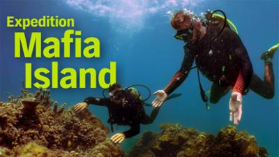 Expedition Mafia Island: Hoffnung für die Meere