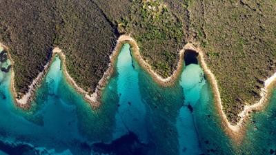 Expeditionen ins Tierreich: Kroatiens wilde Küste - Unter Geiern und Braunbären