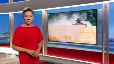Hallo Niedersachsen