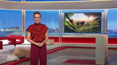 Hallo Niedersachsen
