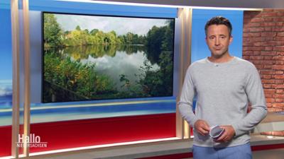 Hallo Niedersachsen