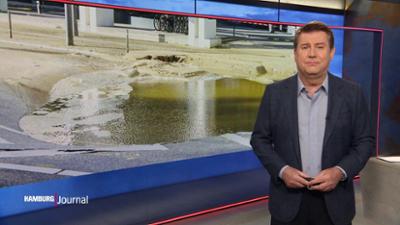 Hamburg Journal