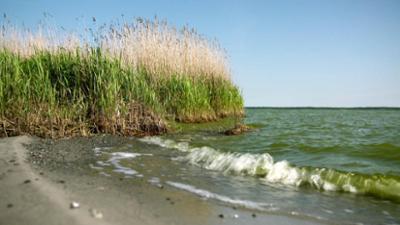 Hanseblick: Darß von hinten - Lagune hinter Fischland, Darß und Zingst Hanseblick: Darß von hinten - Lagune hinter Fischland, Darß und Zingst