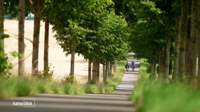 Hanseblick: Entlang der Alleenstraße durch MV