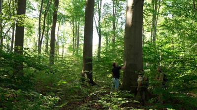 Hanseblick: Die Uckermark: Die Uckermark - Glück im Grünen