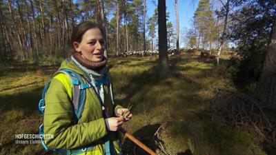 Hofgeschichten - unsere Lieblinge