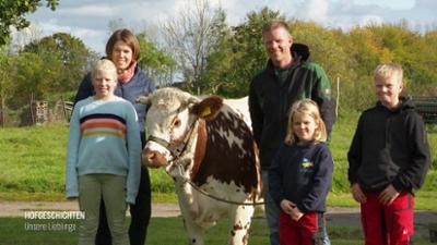 Hofgeschichten - unsere Lieblinge: Hofgeschichten unsere Lieblinge