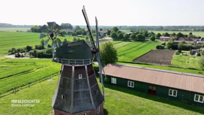 Hofgeschichten - Unsere Lieblinge