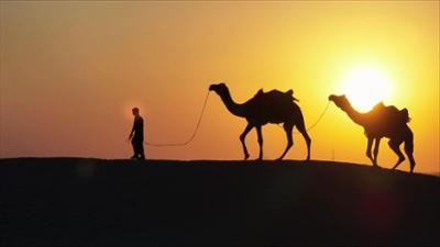 Länder - Menschen - Abenteuer: Wilde Wege - Rajasthan Länder - Menschen - Abenteuer: Wilde Wege - Rajasthan