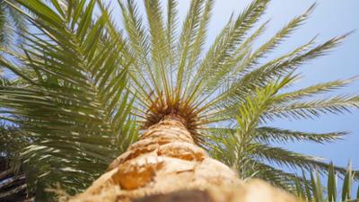 Länder - Menschen - Abenteuer: Oase Siwa - Grünes Herz im Sandmeer