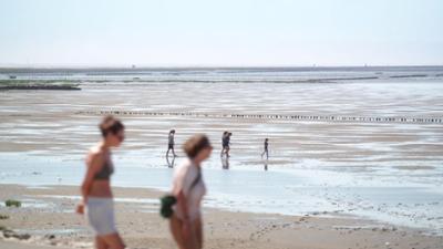 Landpartie: Meldorfer Bucht