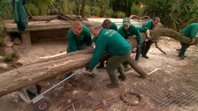 Leopard, Seebär & Co.: Grundsanierung im Ottergehege (98)