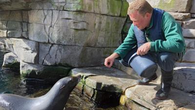 Leopard, Seebär & Co.: Mit "Antje" fing alles an (194)